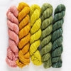 Manos Del Uruguay Fino Yarn Mini Skein Kits