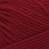 Fashionable Worlds Simplest Mittens Knitting Kit