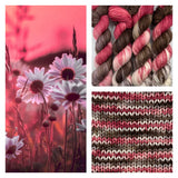 Arcane Fibre Works Colourways Yarn