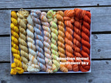 Koigu Venation Shawl Kits - Pencil Boxes x Ambah