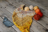 Koigu Venation Shawl Kits - Pencil Boxes x Ambah