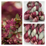 Arcane Fibre Works Colourways Yarn