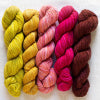 Manos Del Uruguay Fino Yarn Mini Skein Kits