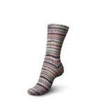 REGIA Design Line by ARNE & CARLOS 6-ply Color Sock Yarn