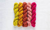 Manos Del Uruguay Fino Yarn Mini Skein Kits