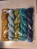 Manos Del Uruguay Fino Yarn Mini Skein Kits