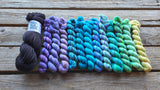 Koigu Aurora Hunter Shawl Yarn Kit - Ambah O'Brien