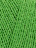 WYS Signature 4ply Sock Yarn