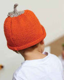 Fruits & Veggies Pumpkin Hat Kit