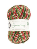 WYS Signature 4ply Sock Yarn